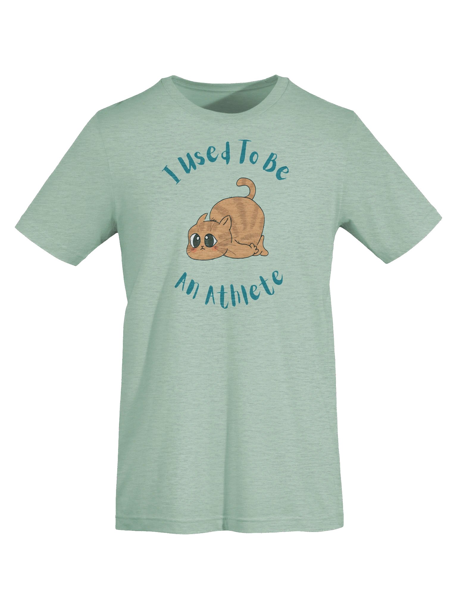 Chubby Cat Confession Tee product image (7)