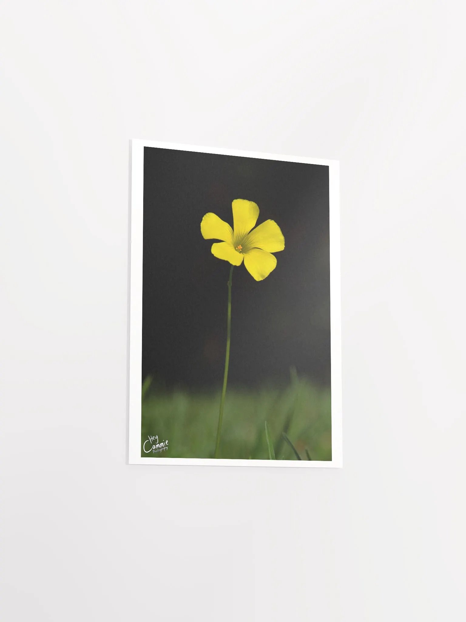 Life - Print product image (3)