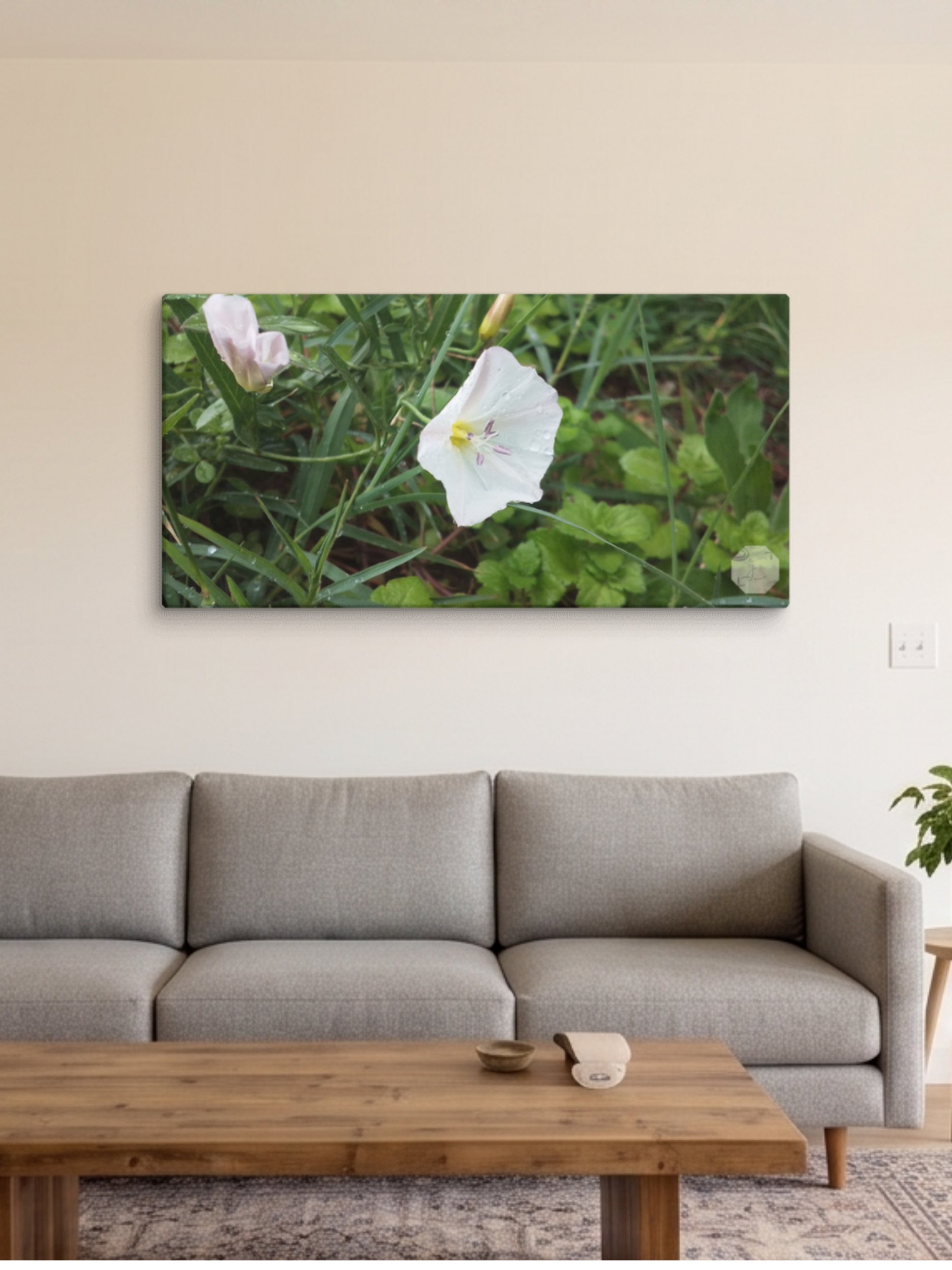 Petunia - Canvas Fine Art product image (3)