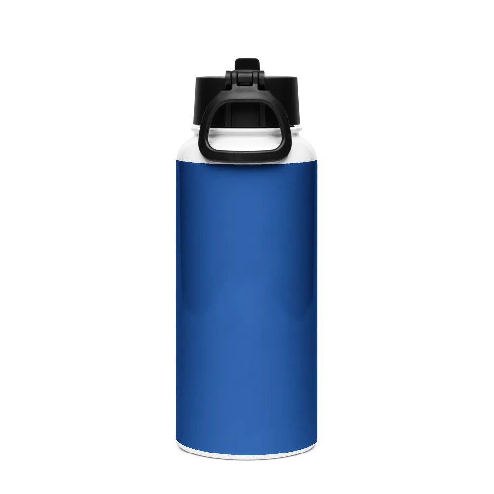 Stainless Steel bottle product image (2)