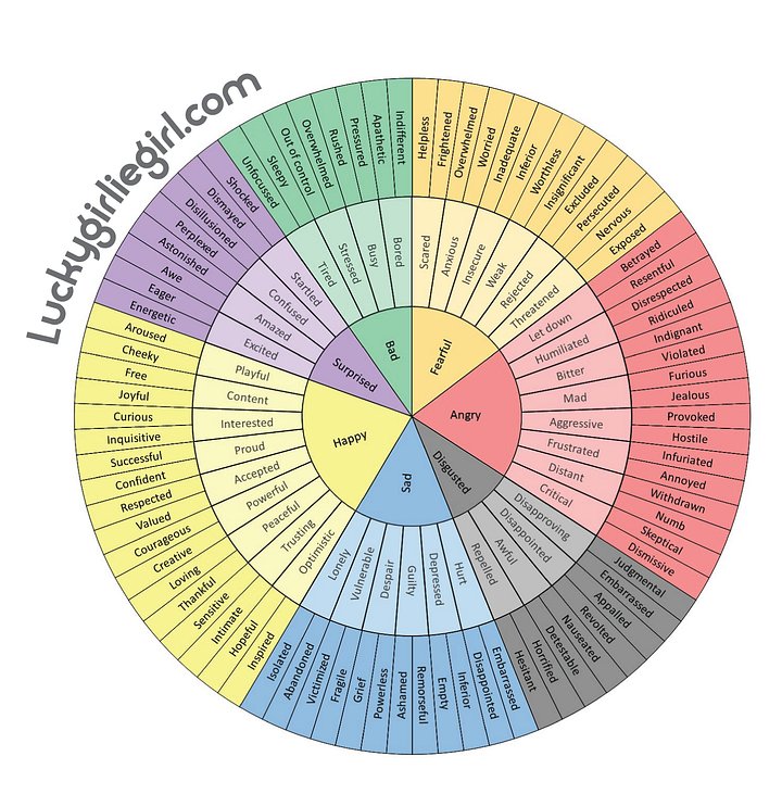 Emotions Wheel Downloadable Graphic product image (1)