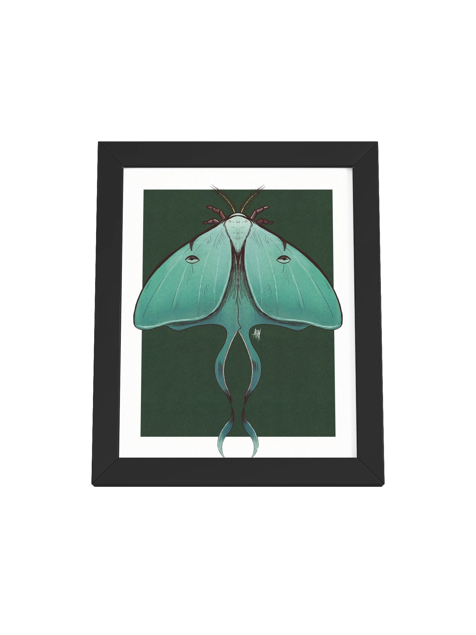 Luna - Framed Print product image (1)