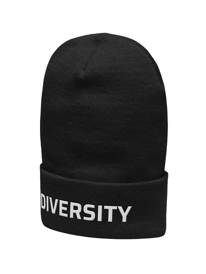 Diversity | Beanie product image (2)