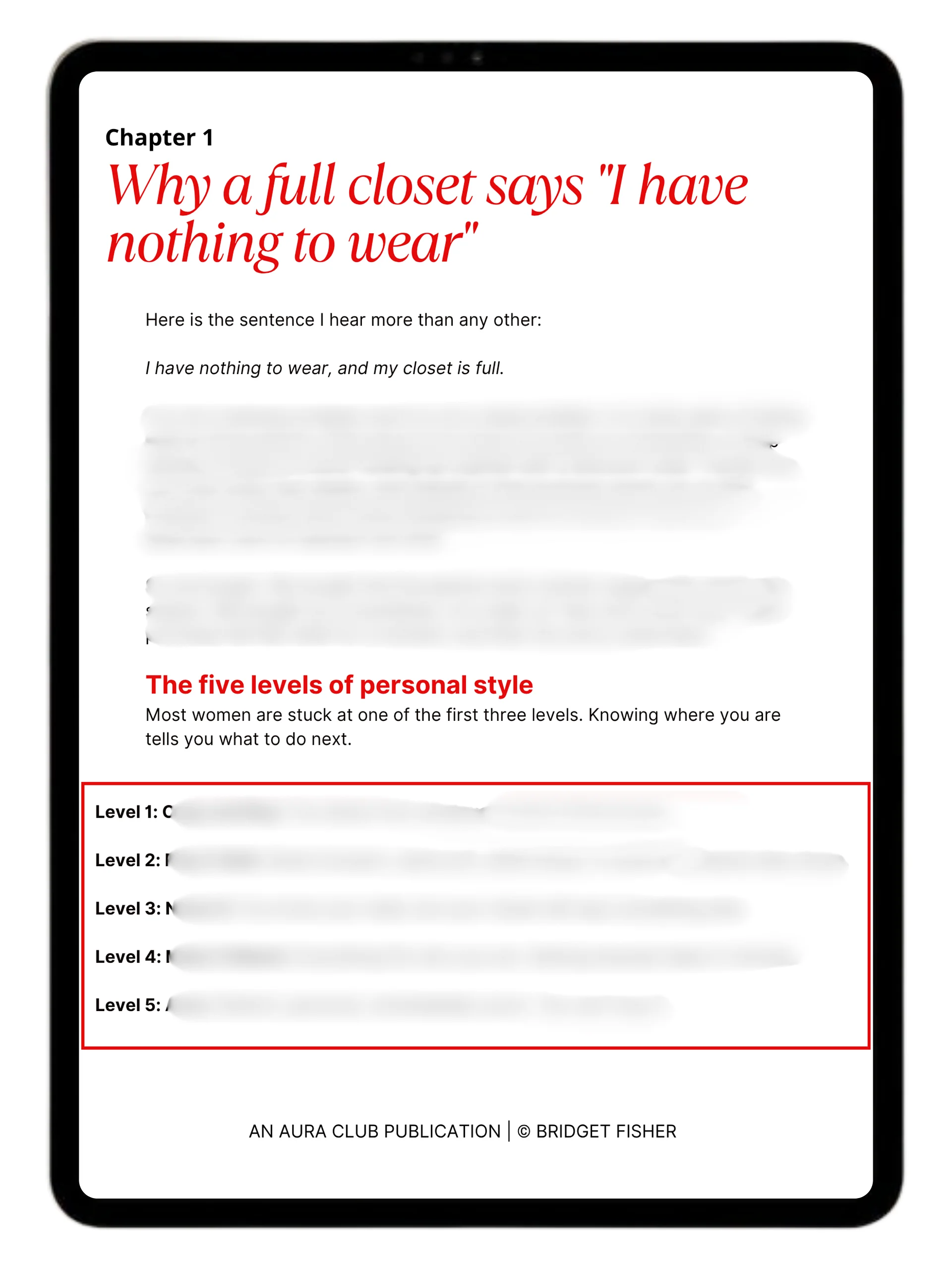 How To Find 20 Outfits You Love In A Closet You Hate (in 48 Hours) product image (3)