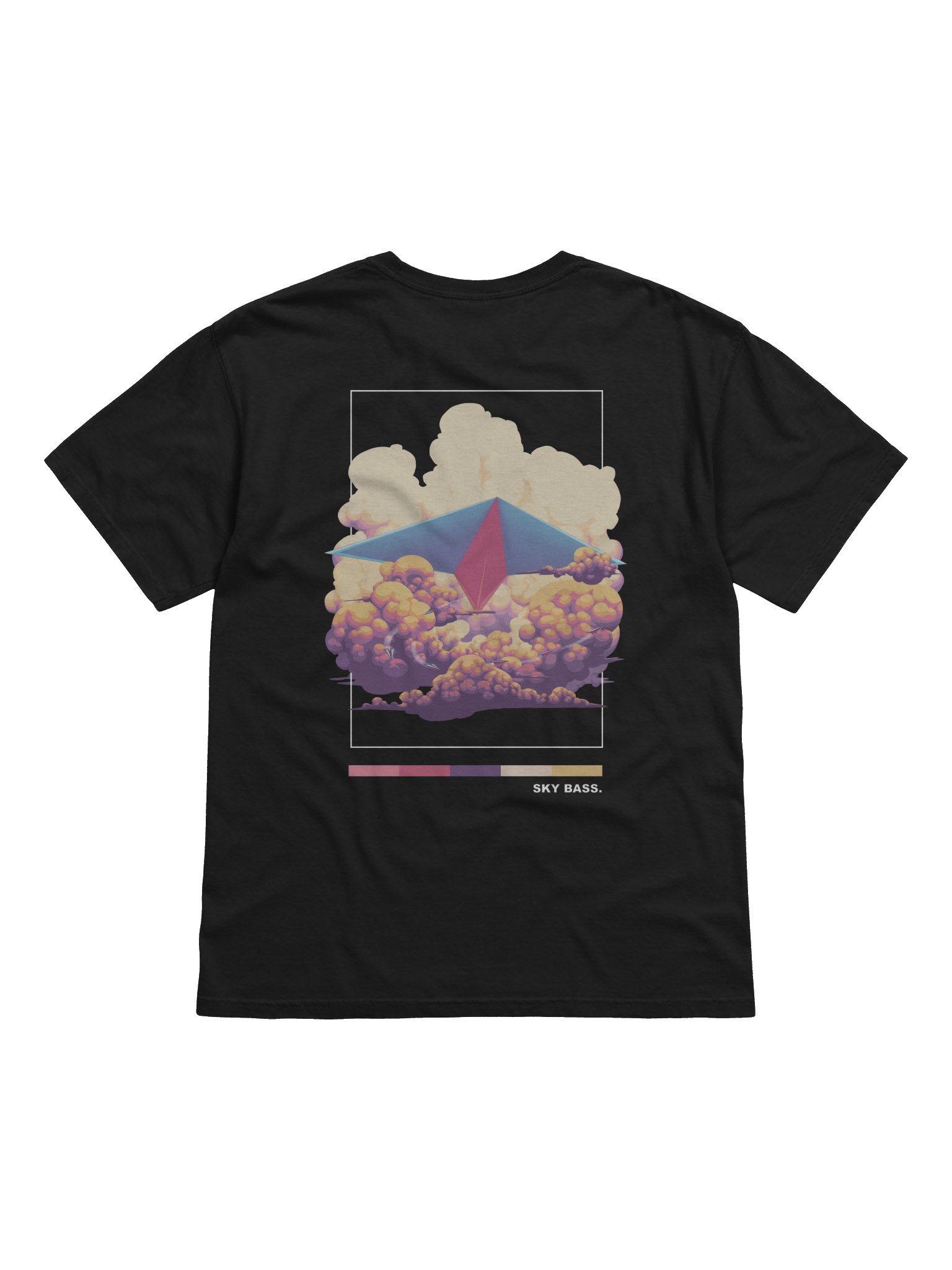 SKY BASS AIRPLANE BACKPRINT product image (1)