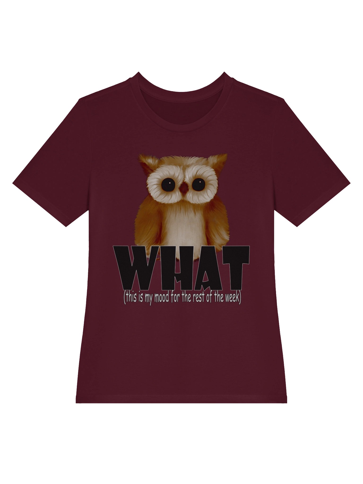 Owl "WHAT" T-Shirt. Women's Bella+Canvas Supersoft Relaxed-fit T-Shirt product image (2)