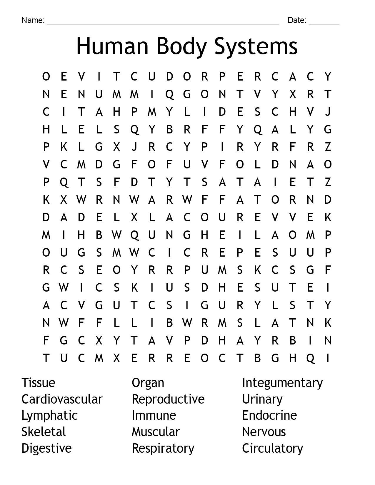 Human Body Systems word search product image (2)
