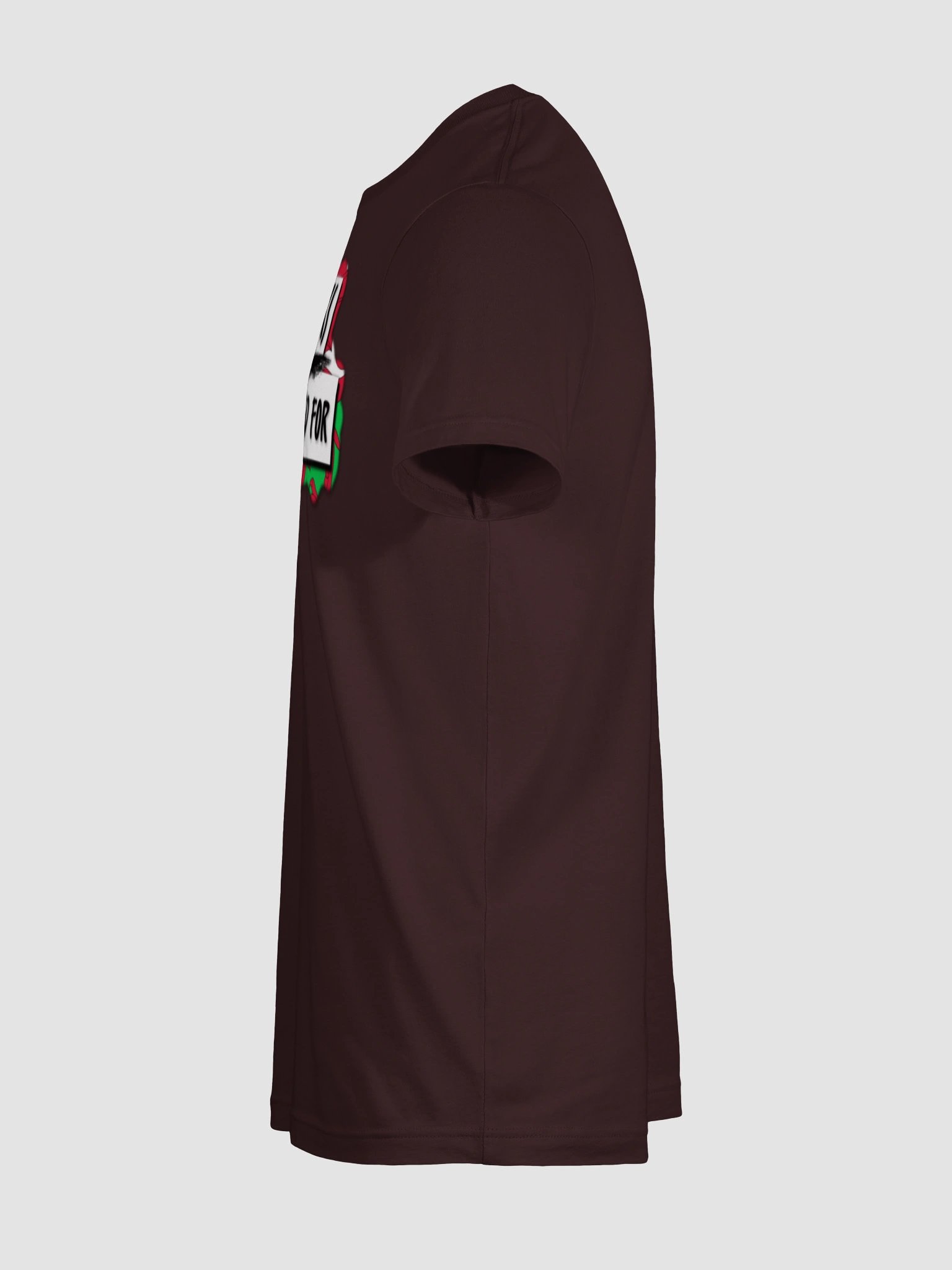 BLANKS Wales Logo Tee product image (9)