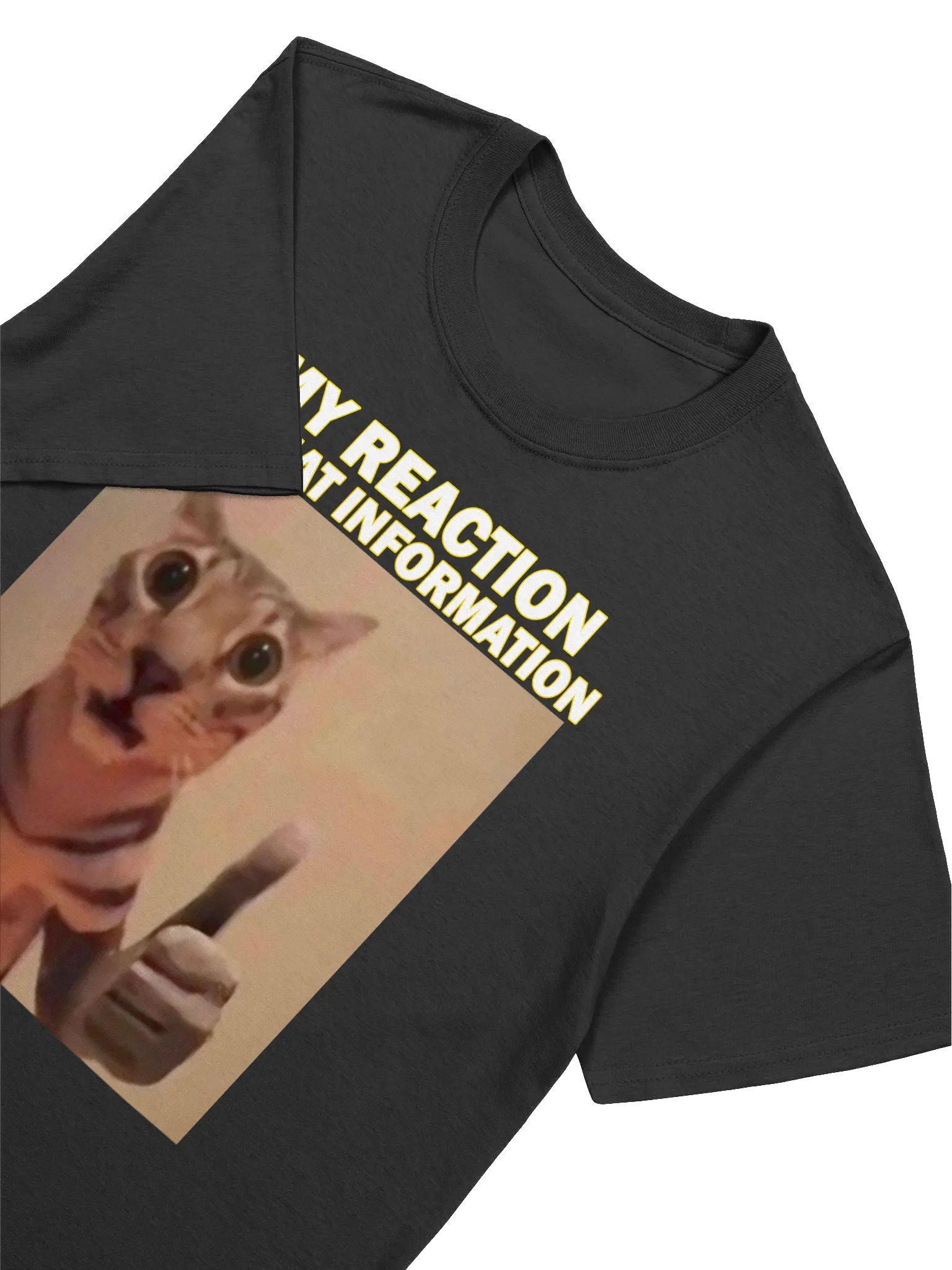 MY HONEST REACTION TO THAT INFO T-SHIRT product image (12)