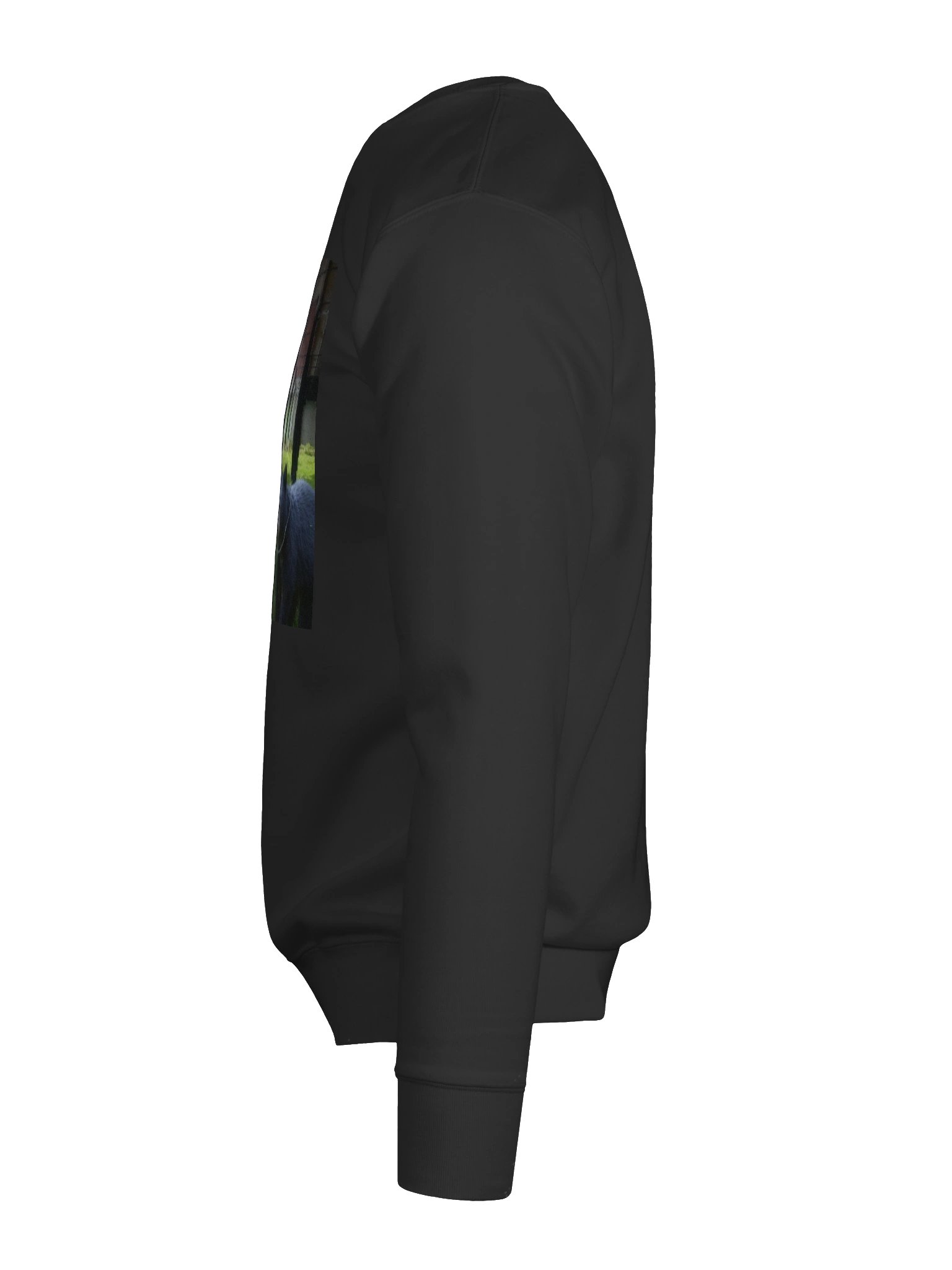 Bear Vacation Sweatshirt product image (12)