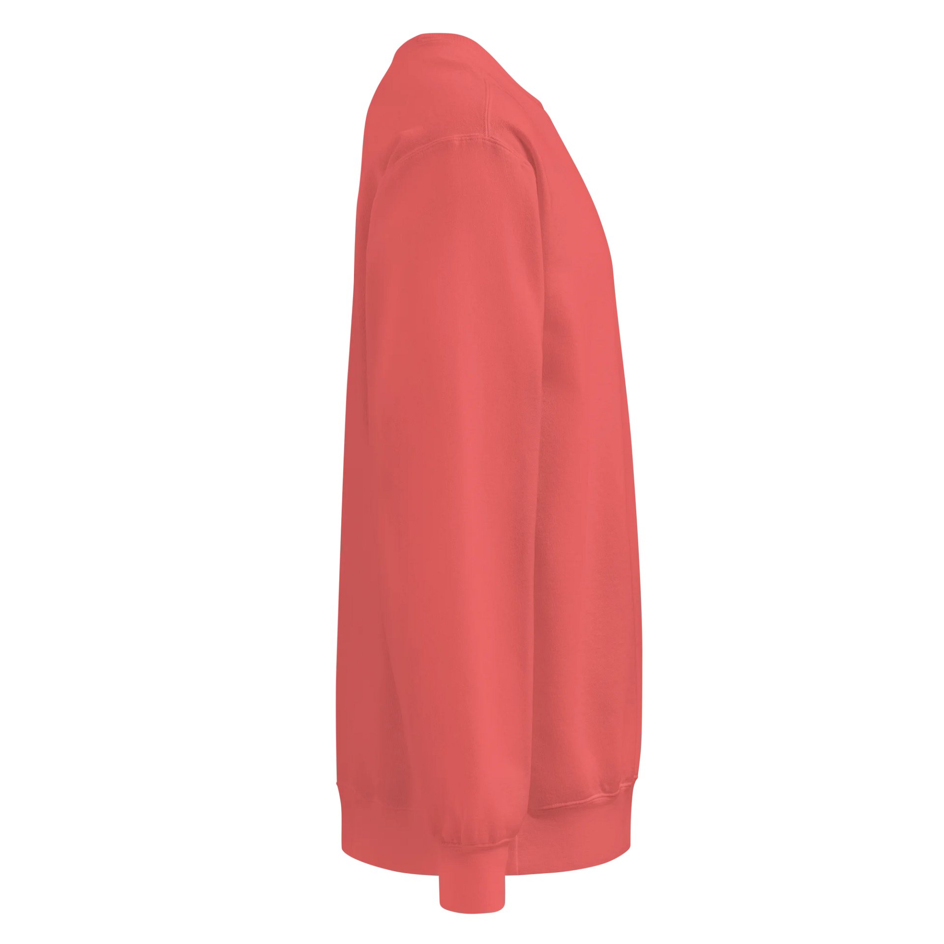 GUILLOVELO TOUCAN LINE DYED SWEATSHIRT product image (9)