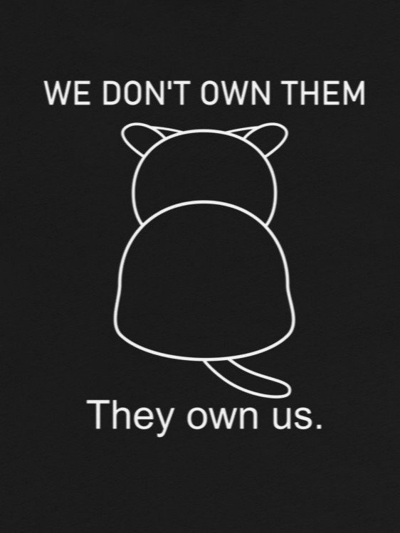 Cats Own People - Unisex Youth Sweatshirt product image (1)