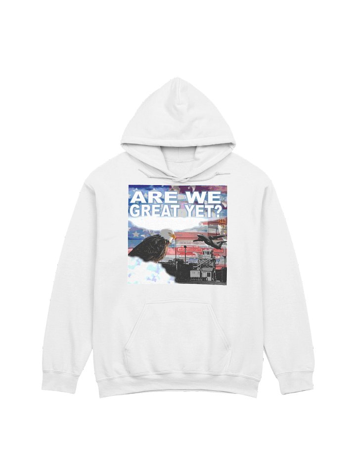 AMERICA HAS A PROBLEM... - HOODIE product image (33)