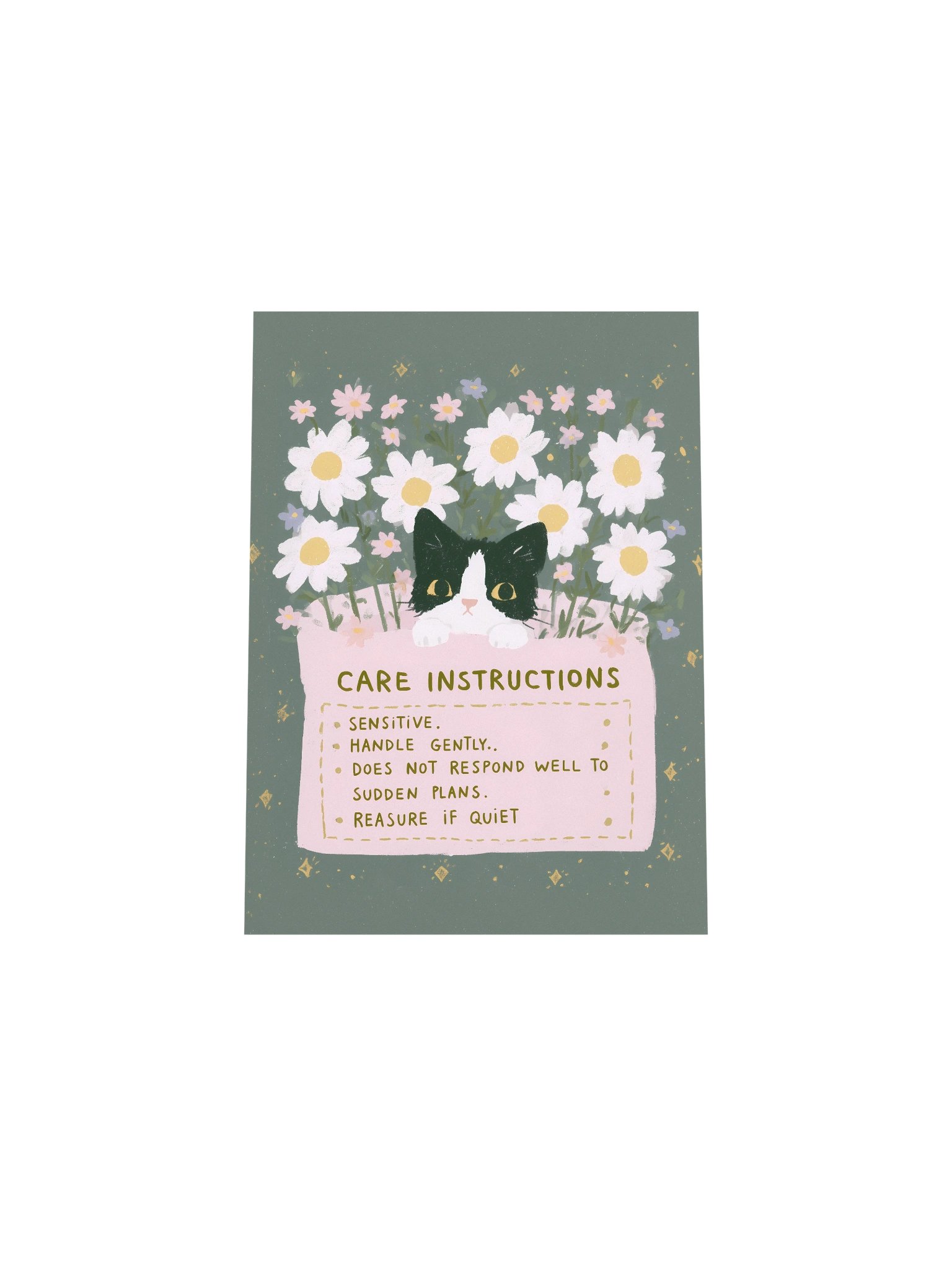 Sensitive Cat Care Instructions Poster product image (30)