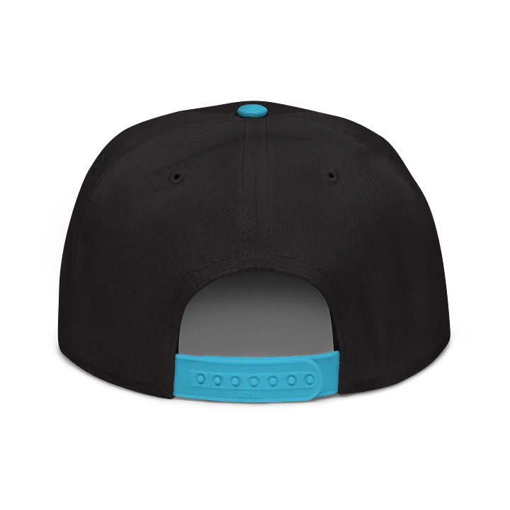 Odd Duck Merch Snapback Hat product image (40)