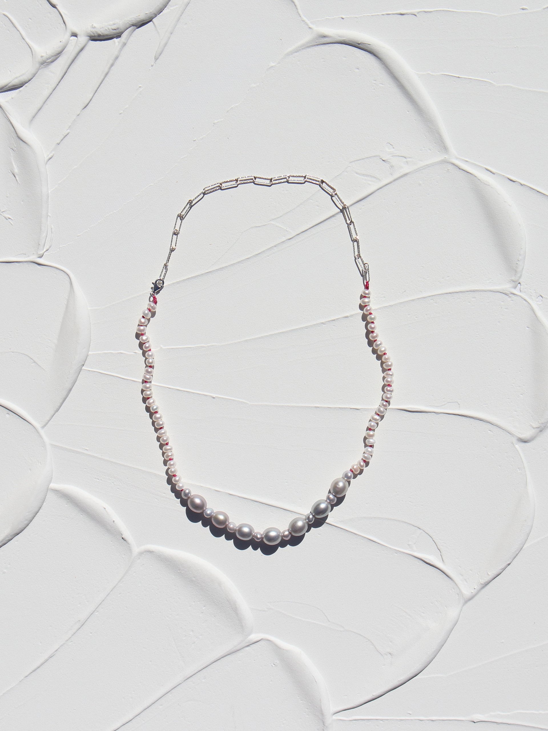 Oleander product image (2)
