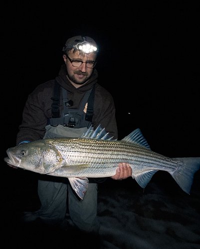 The night bite is STILL the right bite. Recently had another successful night fishing throwing the @tates_baits_ resin glider...
