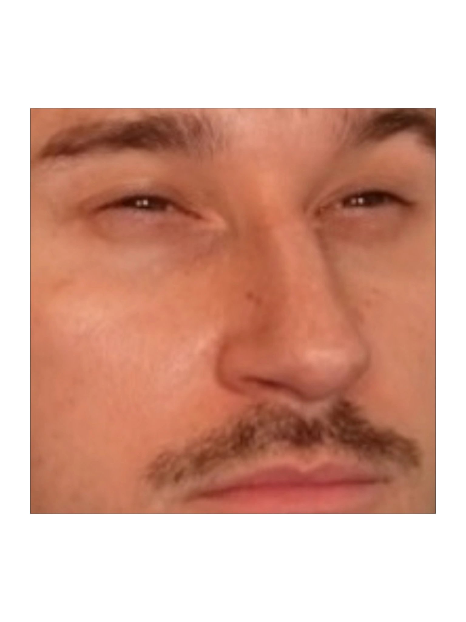 BradleyTheBradster SUS Face Stickers product image (2)