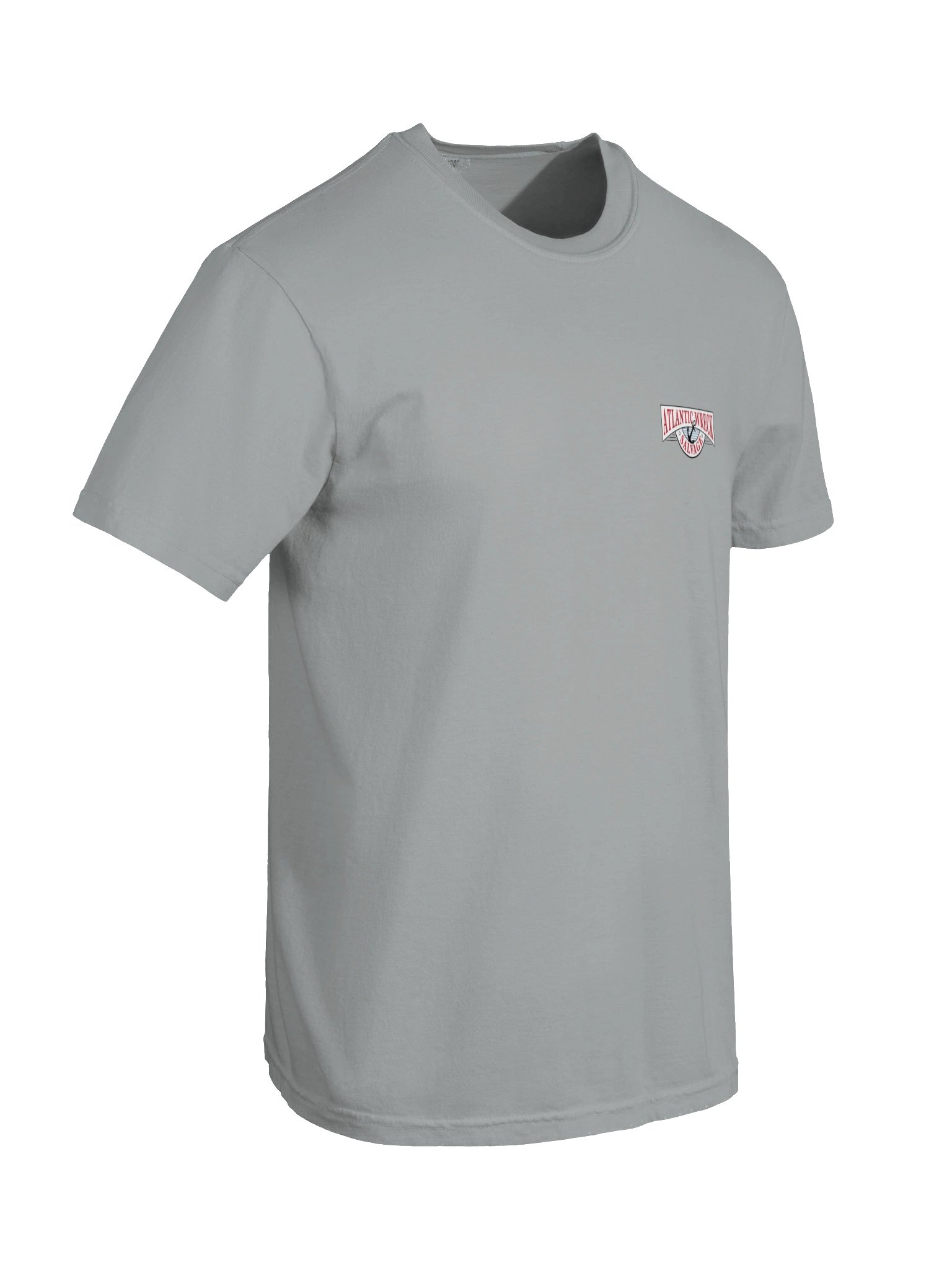 AWS Tenacious Tee product image (7)