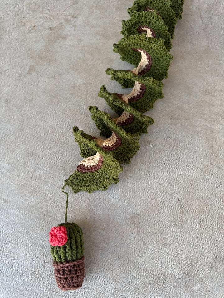 Cactus Desert Wind Spinner Crochet Pattern product image (2)