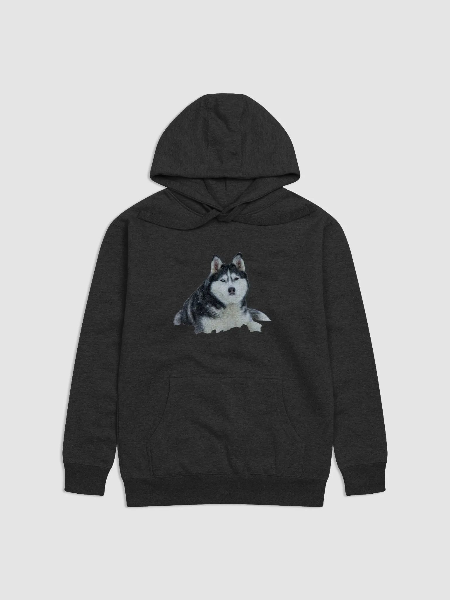 Majestic Siberian Husky with two different colored eyes in the
