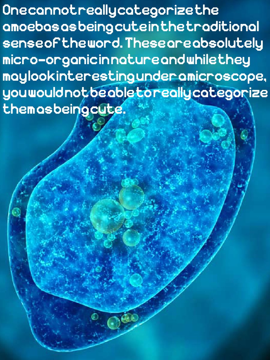 Sarcodina font product image (8)