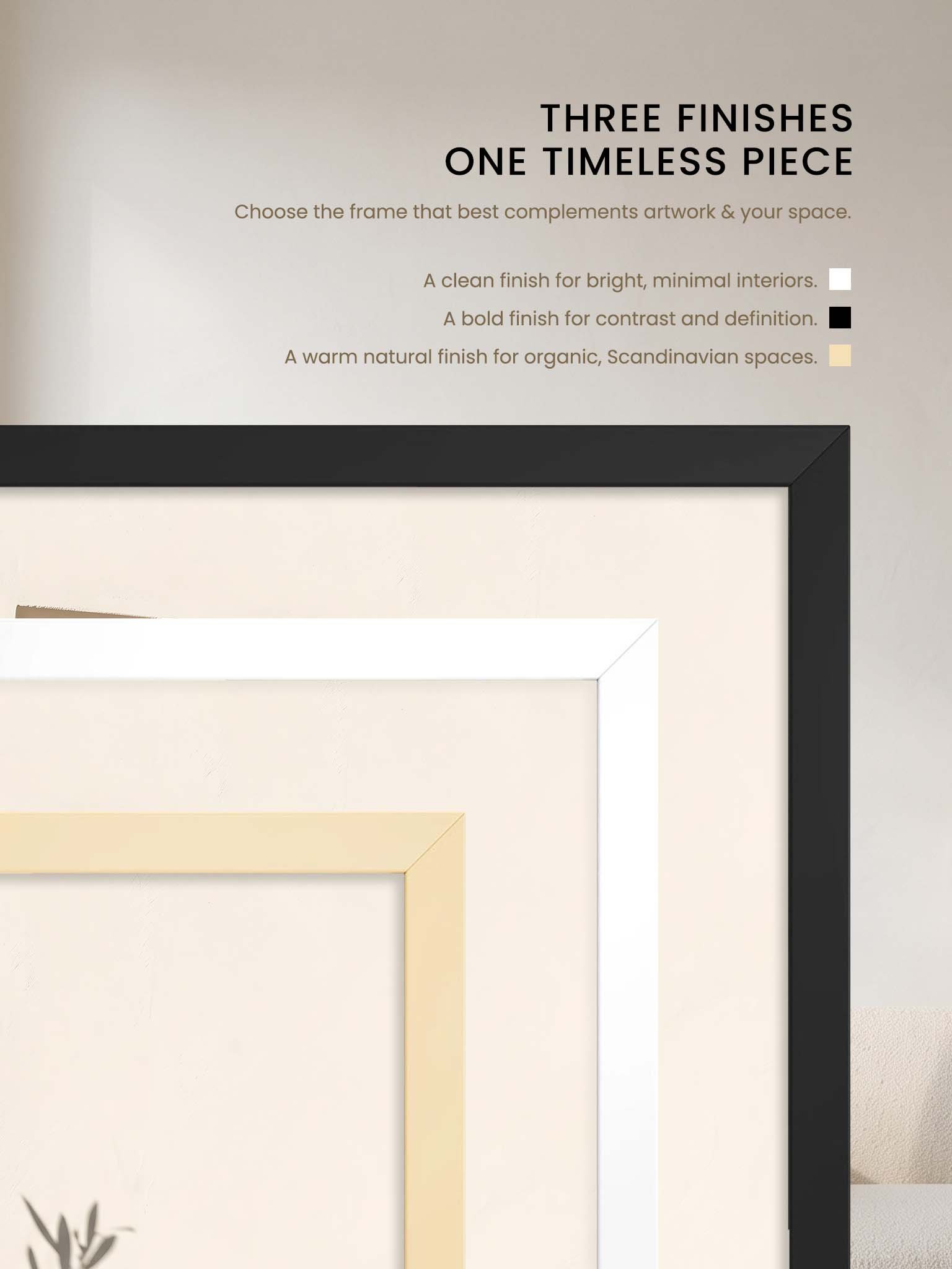 Olive Branch - Mediterranean Botanical Shadow Wall Art product image (73)