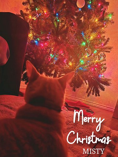 𝗧𝗵𝗲𝘀𝗲 𝗮𝗿𝗲 𝘁𝗵𝗲 𝟯 𝗚𝗛𝗢𝗦𝗧 𝗢𝗙 𝗖𝗛𝗥𝗜𝗦𝗧𝗠𝗔𝗦
𝘊𝘩𝘰𝘰𝘴𝘦 𝘺𝘰𝘶𝘳 𝘧𝘪𝘨𝘩𝘵𝘦𝘳.

Are you picking:
- Misty Blessings who would leave you for a chicken...