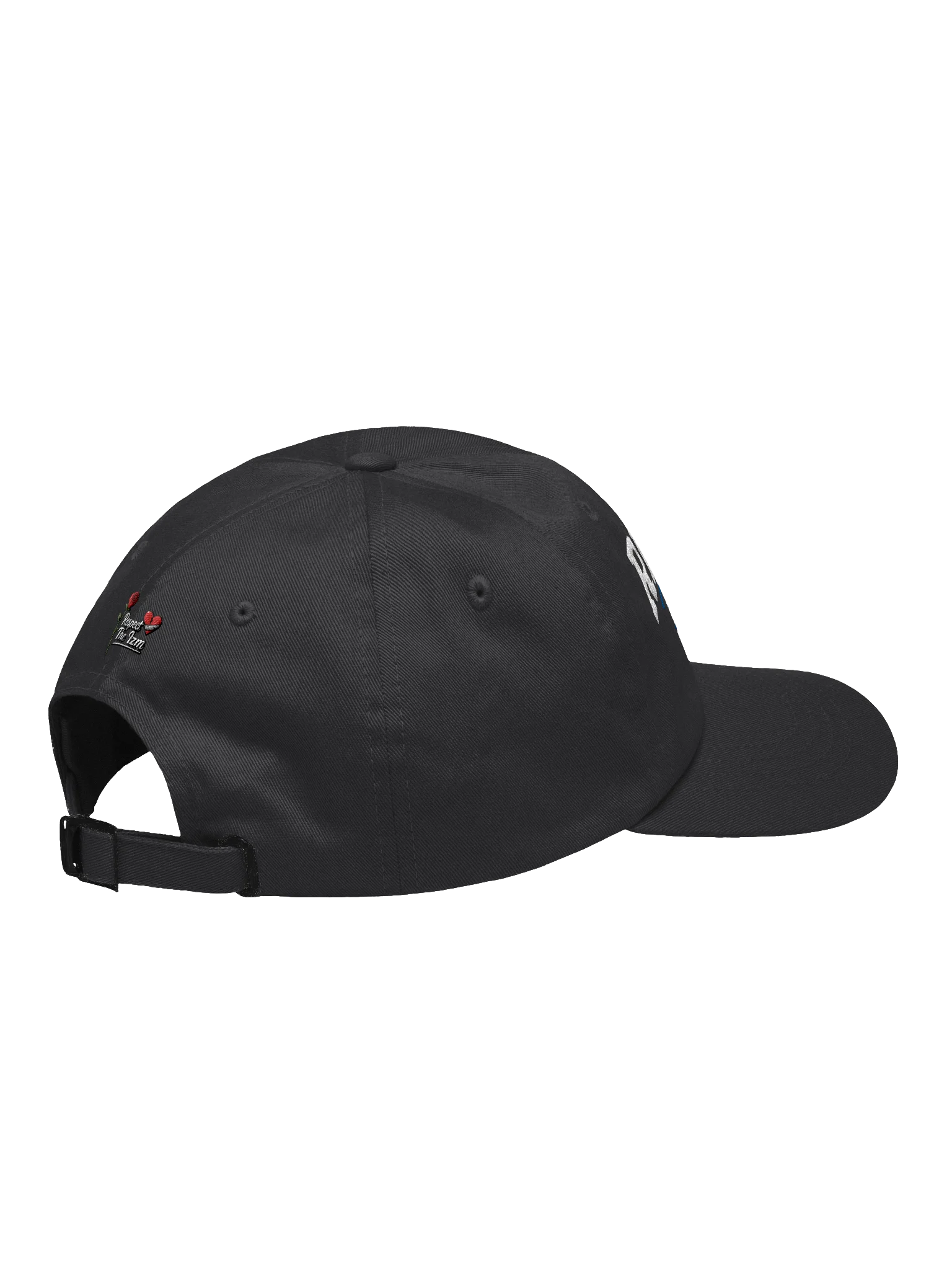 RESPECT Berkeley Dad Hat product image (17)