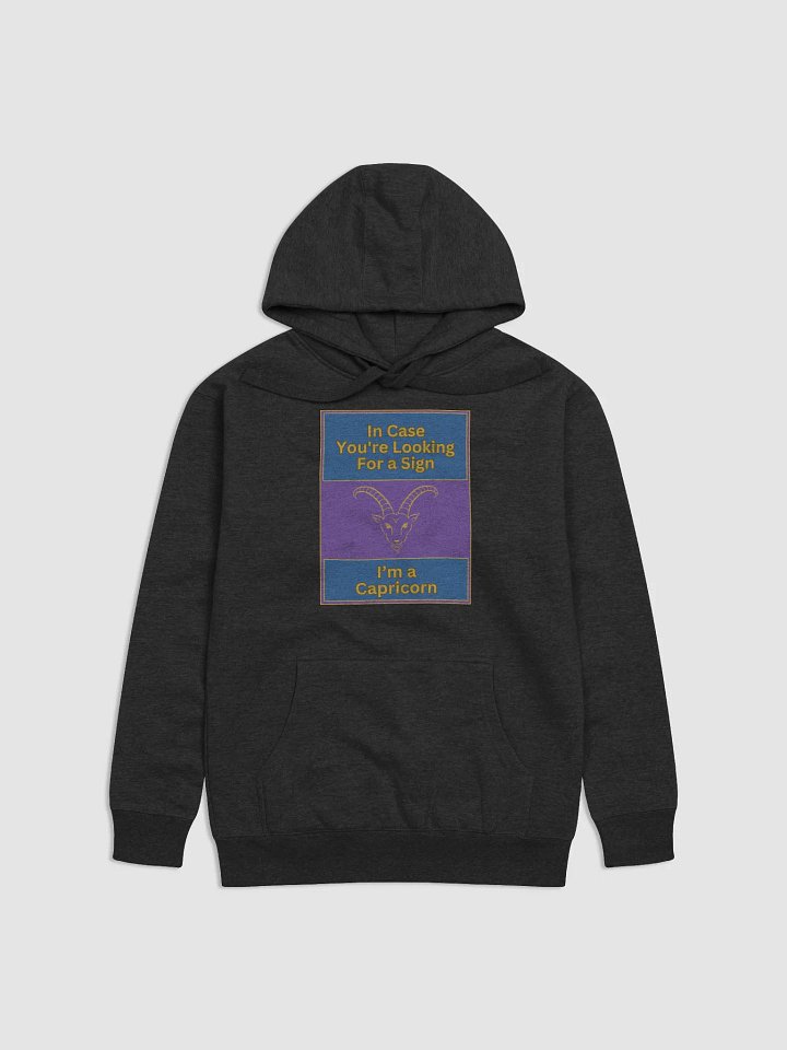 In Case You’re Looking For A Sign Capricorn Zodiac Sign Hoodie, Zodiac Sign Vibes Hoodie, Capricorn Hoodie, Astrological Hoodie product image (1)