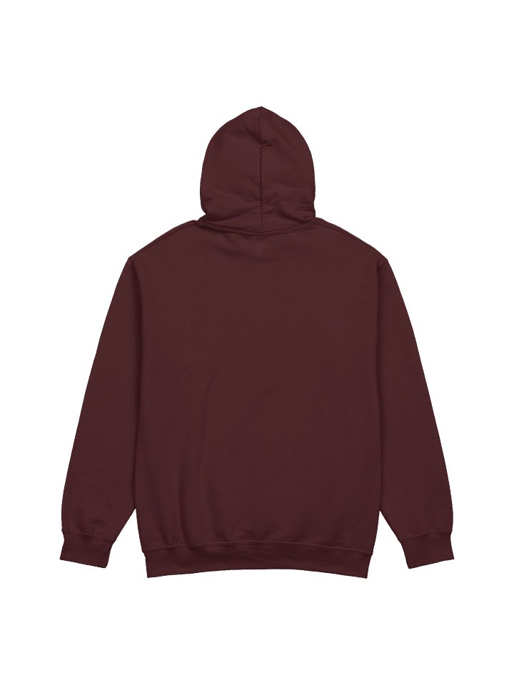 RPS Logo Hoodie product image (11)
