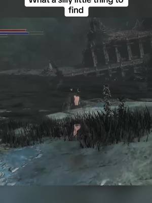 Definitely didn’t expect to find bugs that look like they’re racing in The Ringed City 😂 it’s silly & I love it #darksouls #ds3 #silly #racing #videogames 