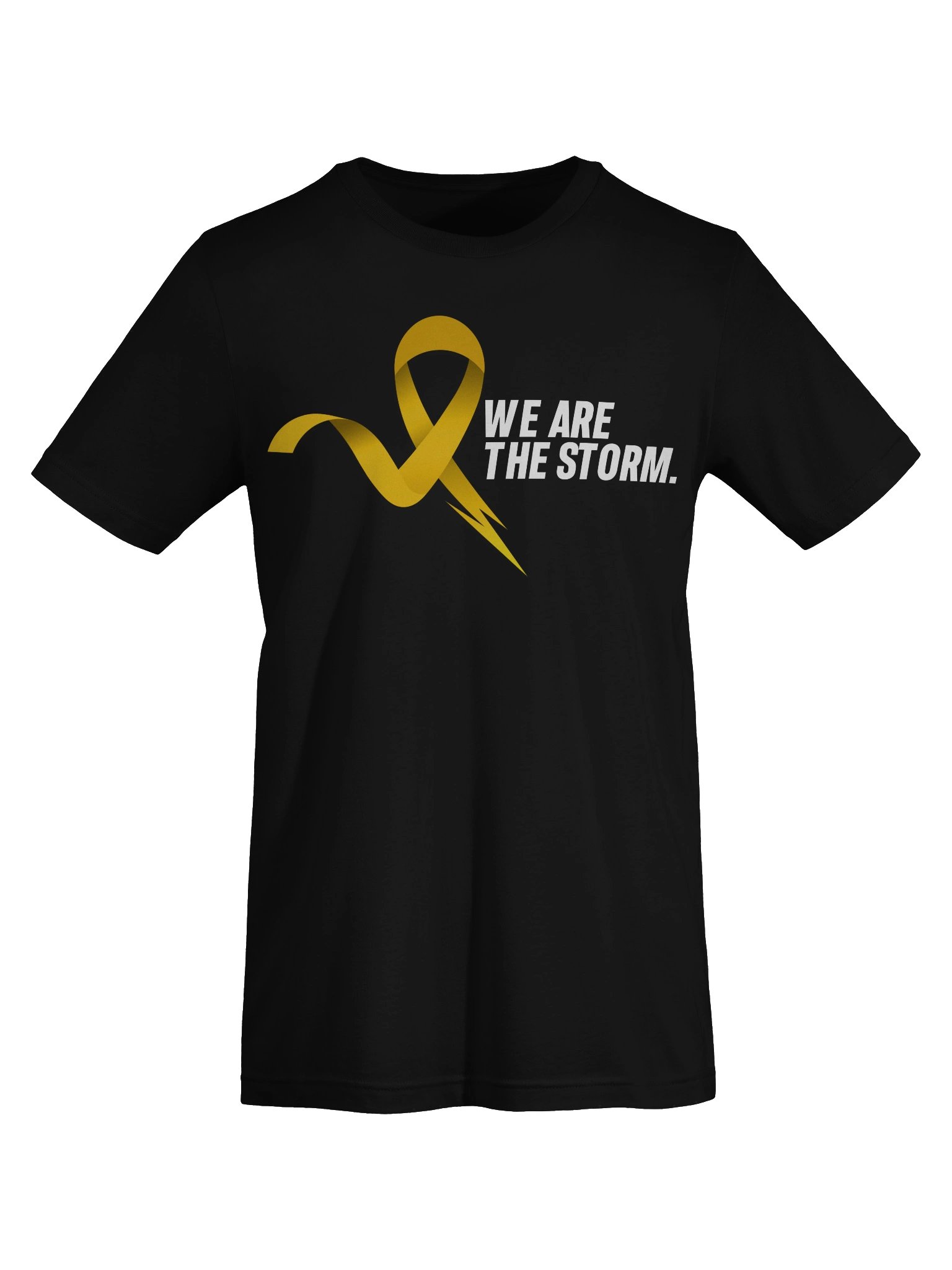 We are the Storm product image (41)