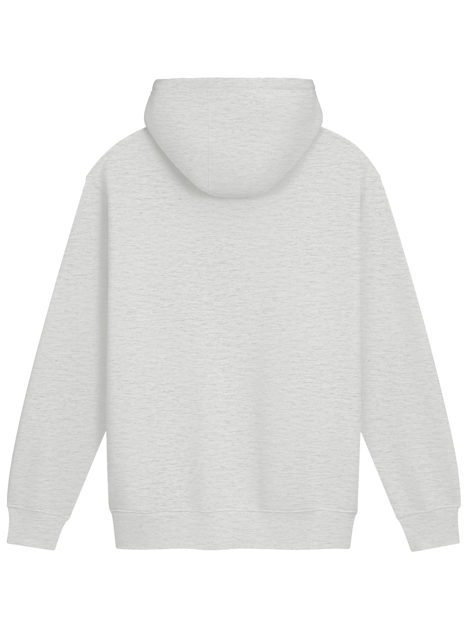 Nice and Normal Party 2026 Premium Hoodie product image (4)