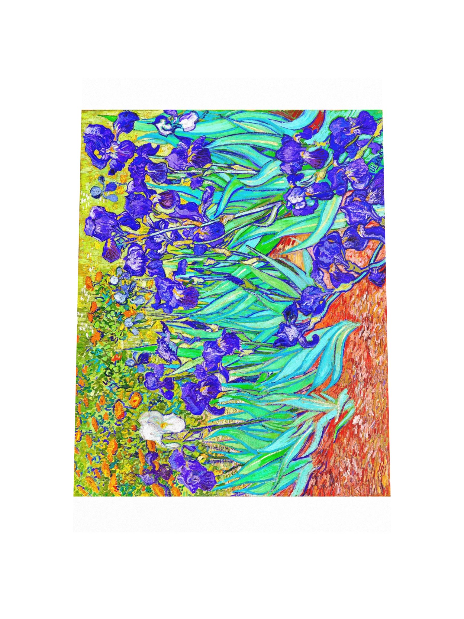 Irises — Large Poster product image (4)