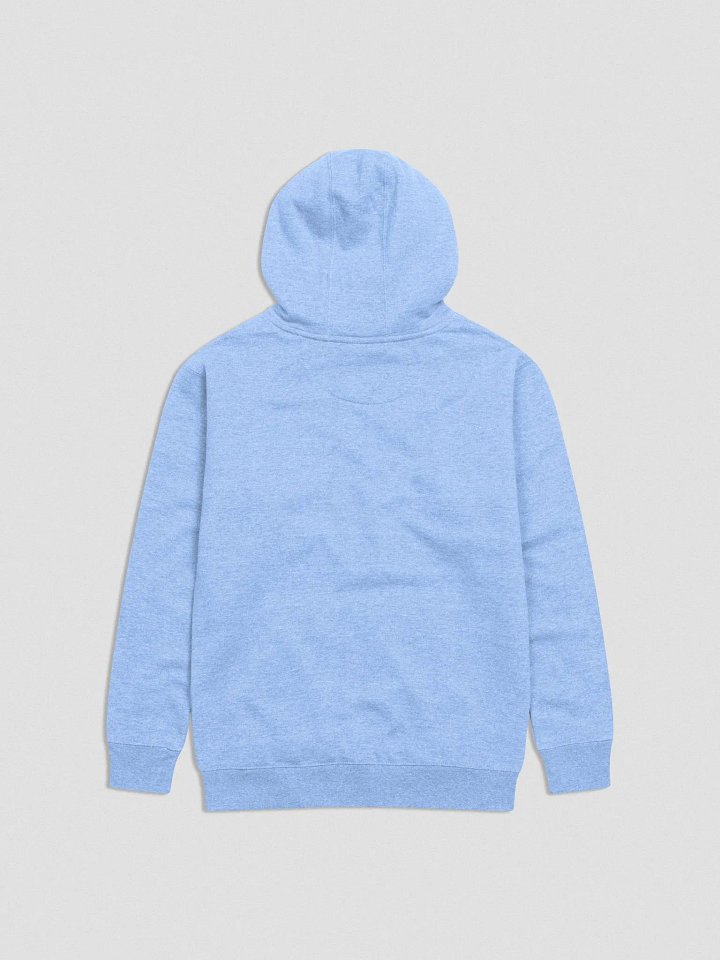 Hext's Sweet Tea Hoodie product image (16)