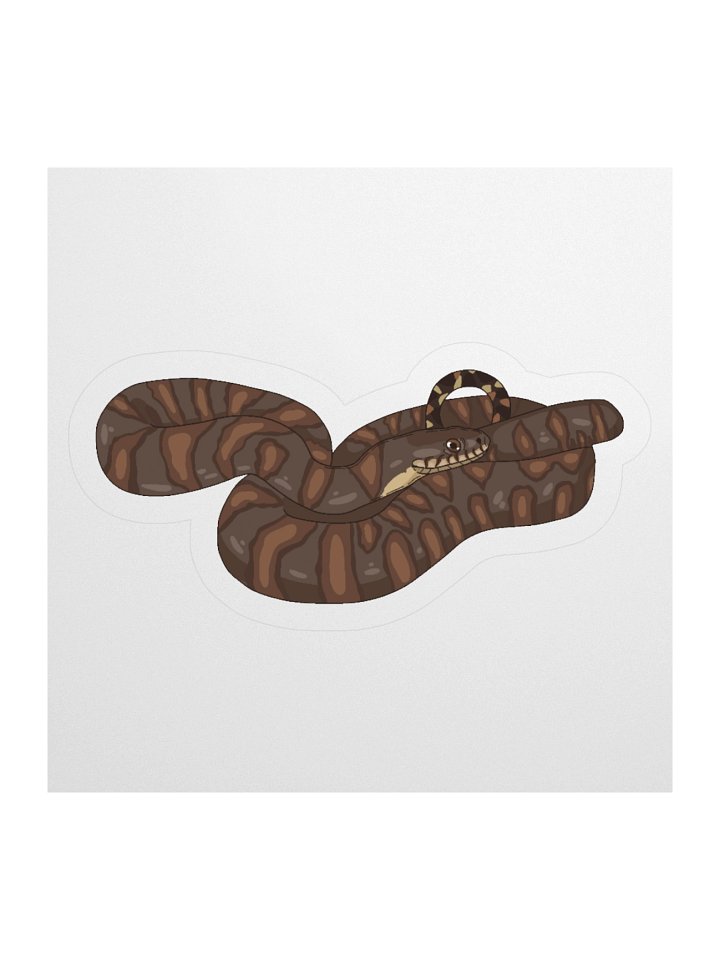 Northern Water Snake - Nerodia sipedon sipedon Sticker product image (3)