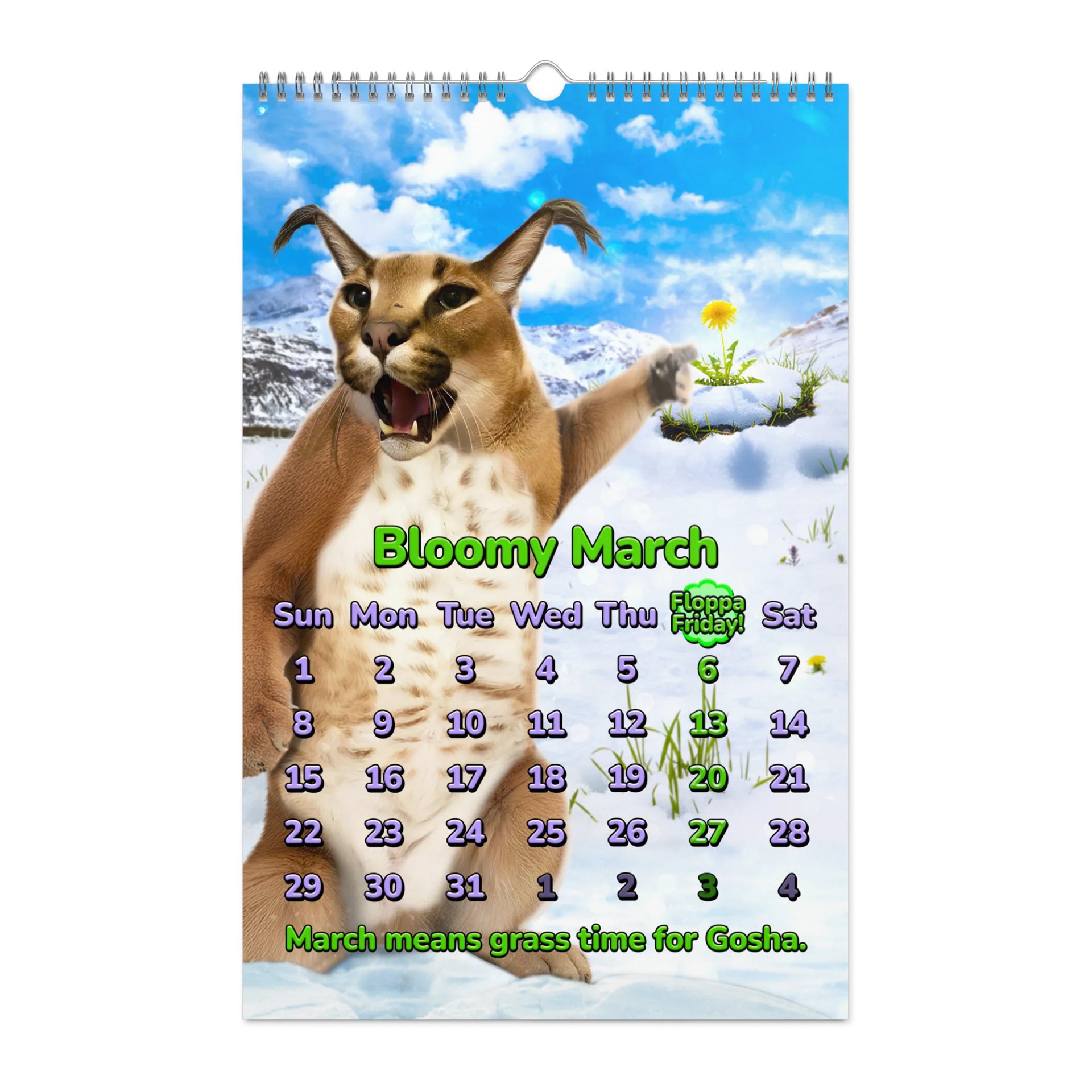 BIG CARACALENDAR 2026 (Limited Edition) product image (9)