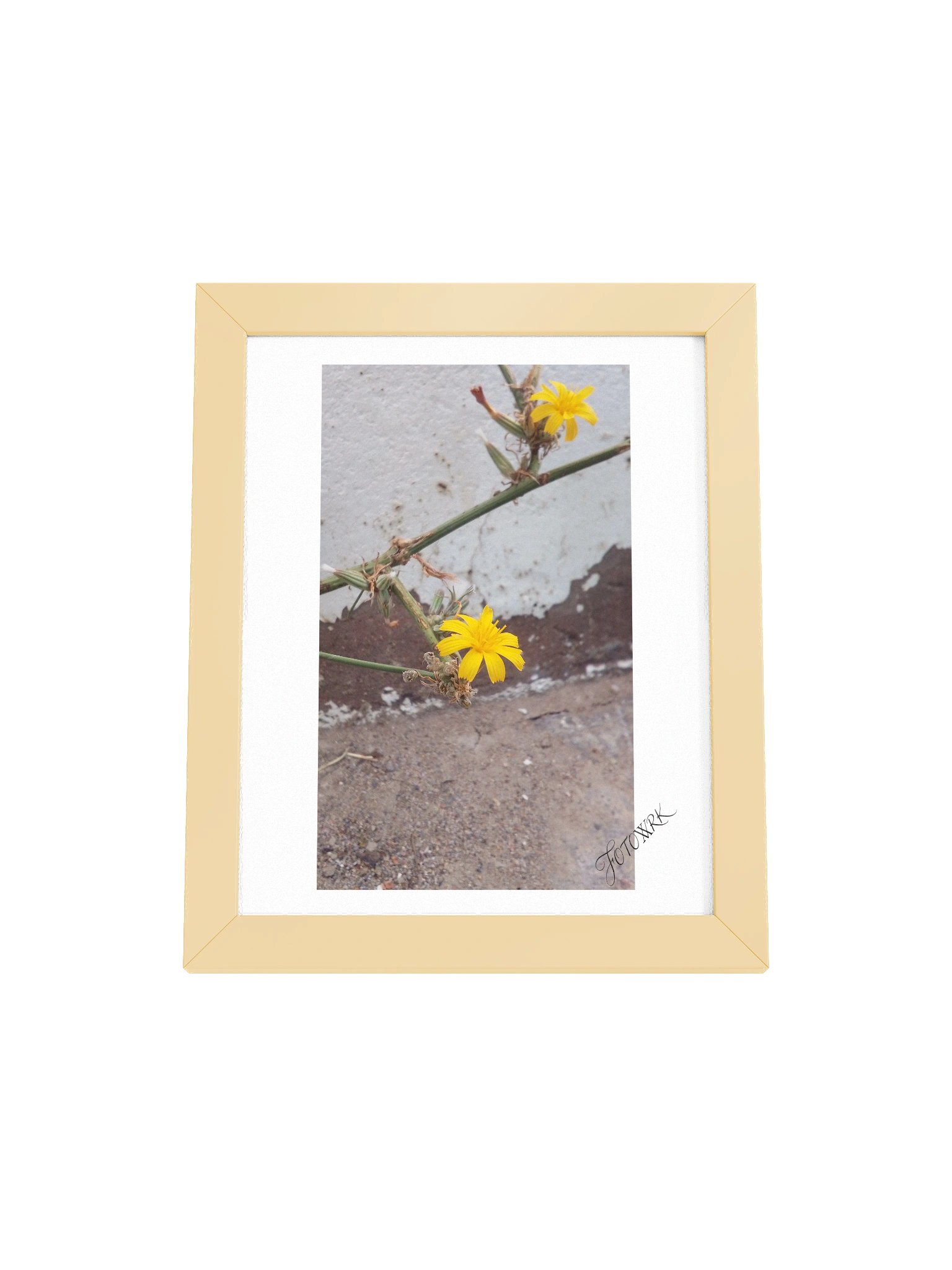 SDPD - Fine Art Matte Poster product image (13)