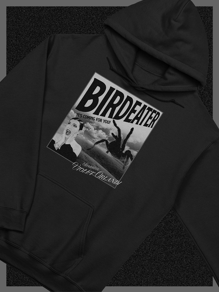 Birdeater Vintage Poster Hoodie (B&W) product image (1)