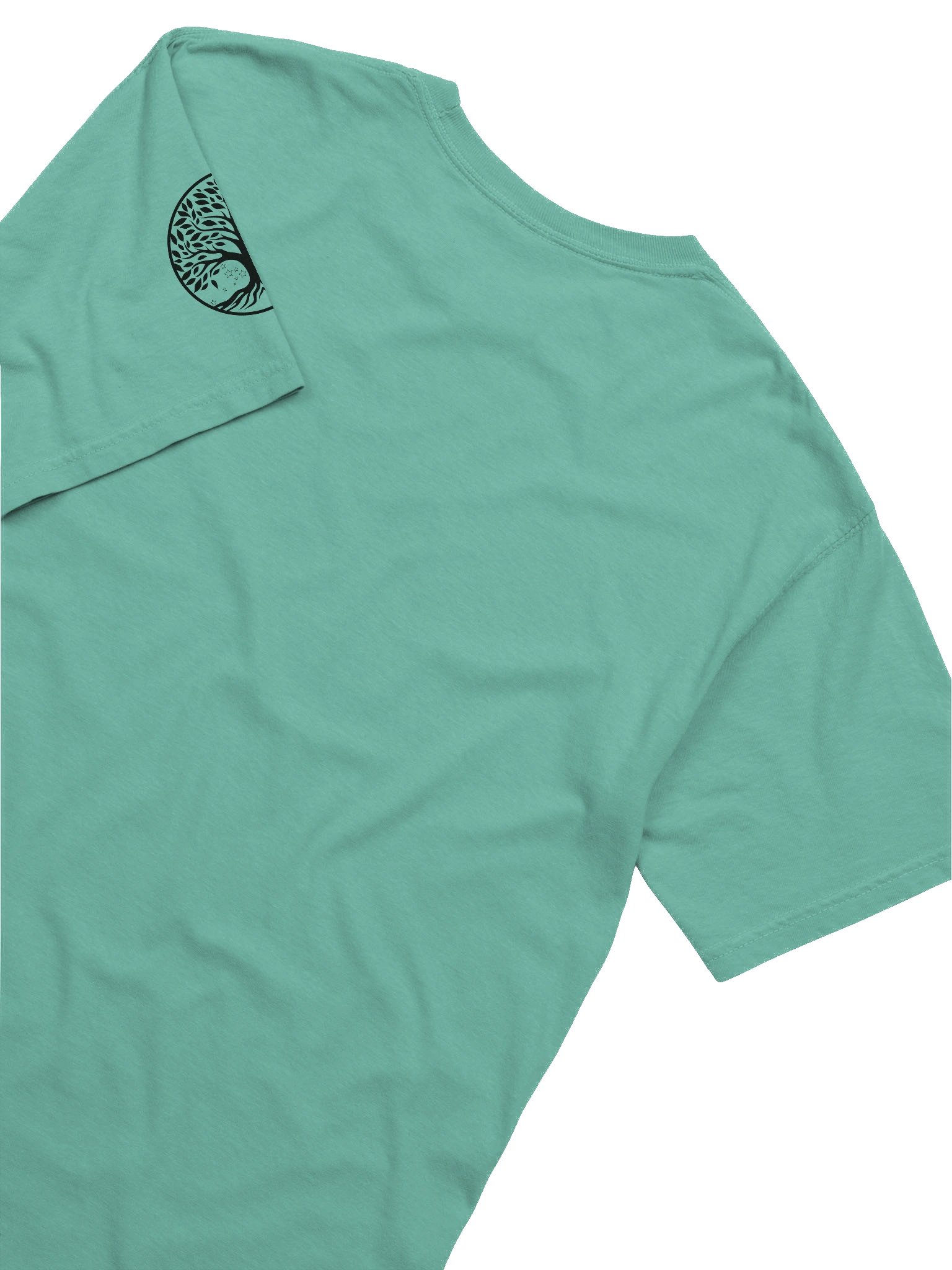 "There's always a Nat 1" Comfort Tee product image (76)