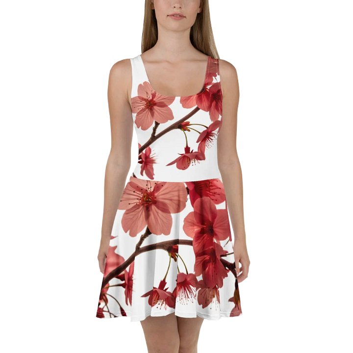 All-Over Print Skater Dress product image (2)