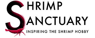 Shrimp Sanctuary