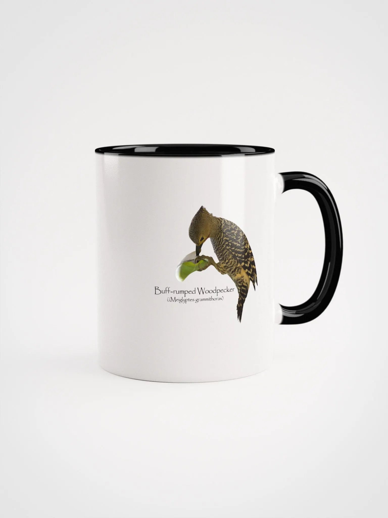 Buff-rumped Woodpecker mug product image (7)