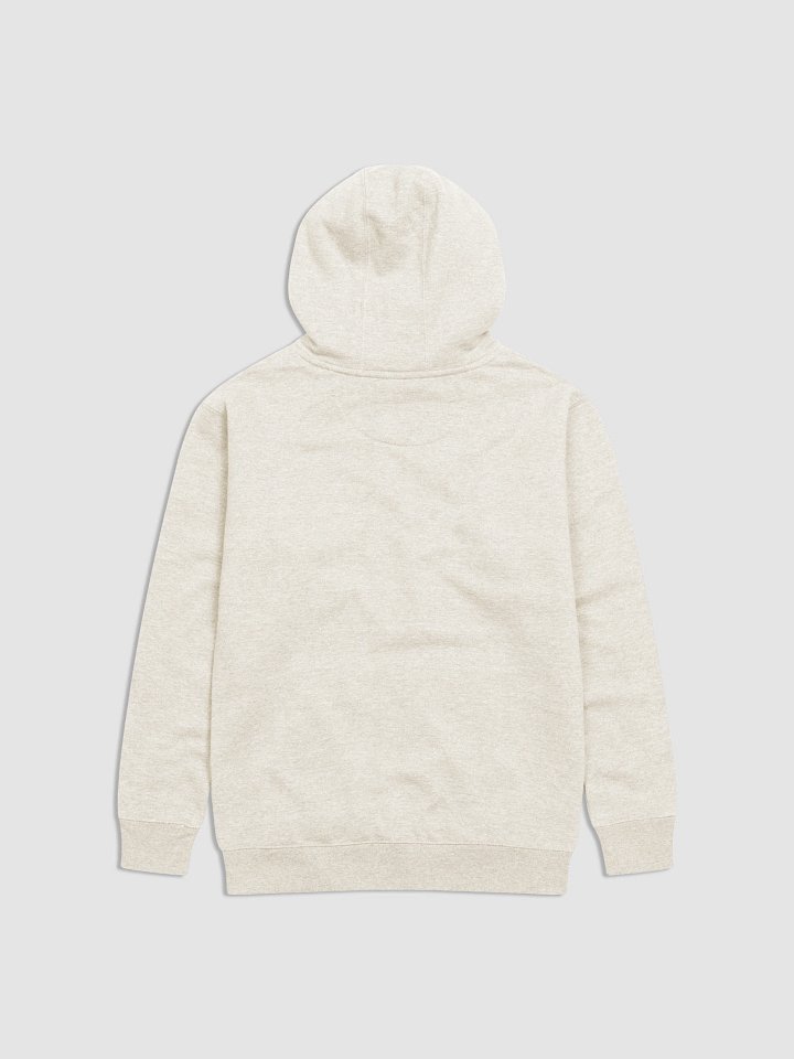 True Crime Embroidered Hoodie product image (4)