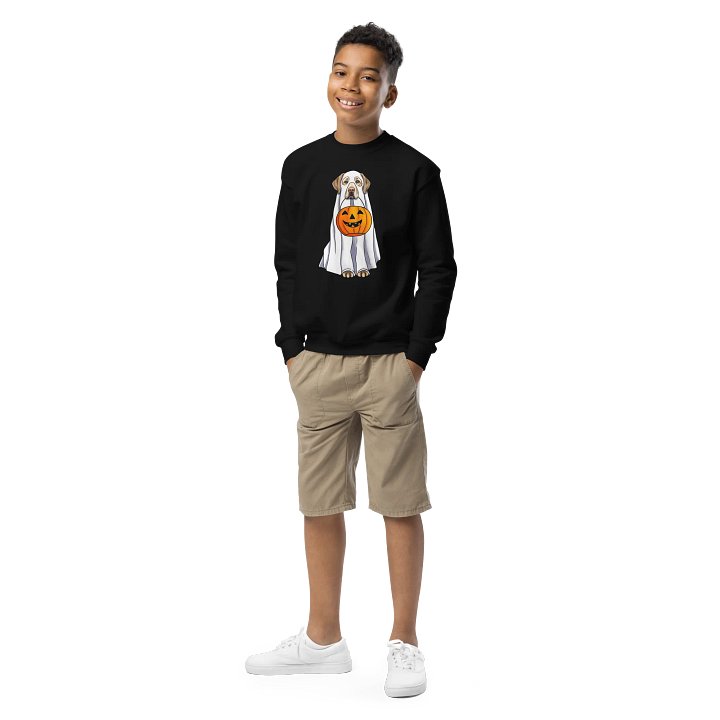 Halloween Labrador Retriever(Yellow) Youth Sweatshirt product image (2)