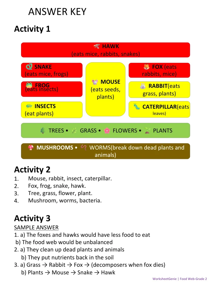 Food Web Activity Pack - Explore Nature's Connections for 2nd Grade product image (2)