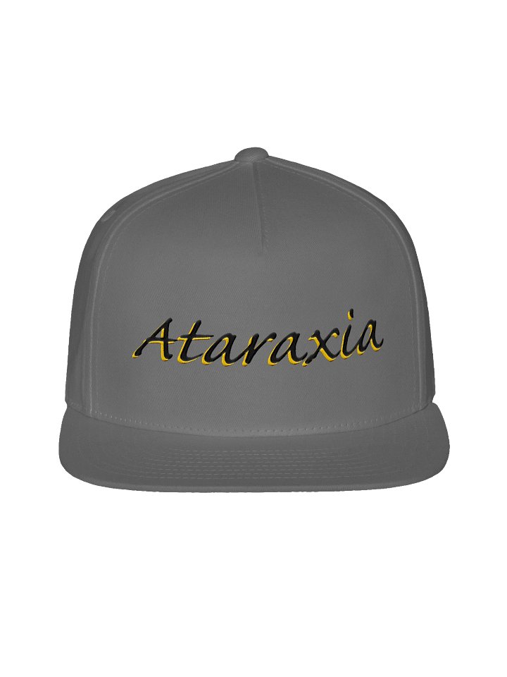 The Ataraxia Flat Bill Snapback – Focus & Flow product image (2)