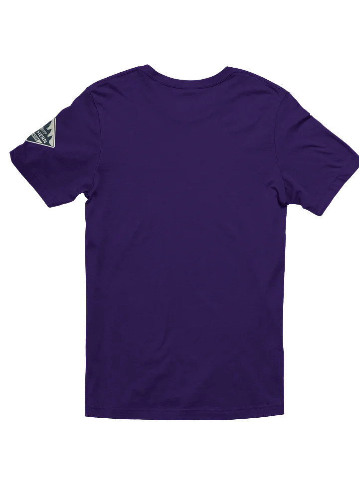 “Bad Hair, Don’t Care” Porcupine T-Shirt product image (2)