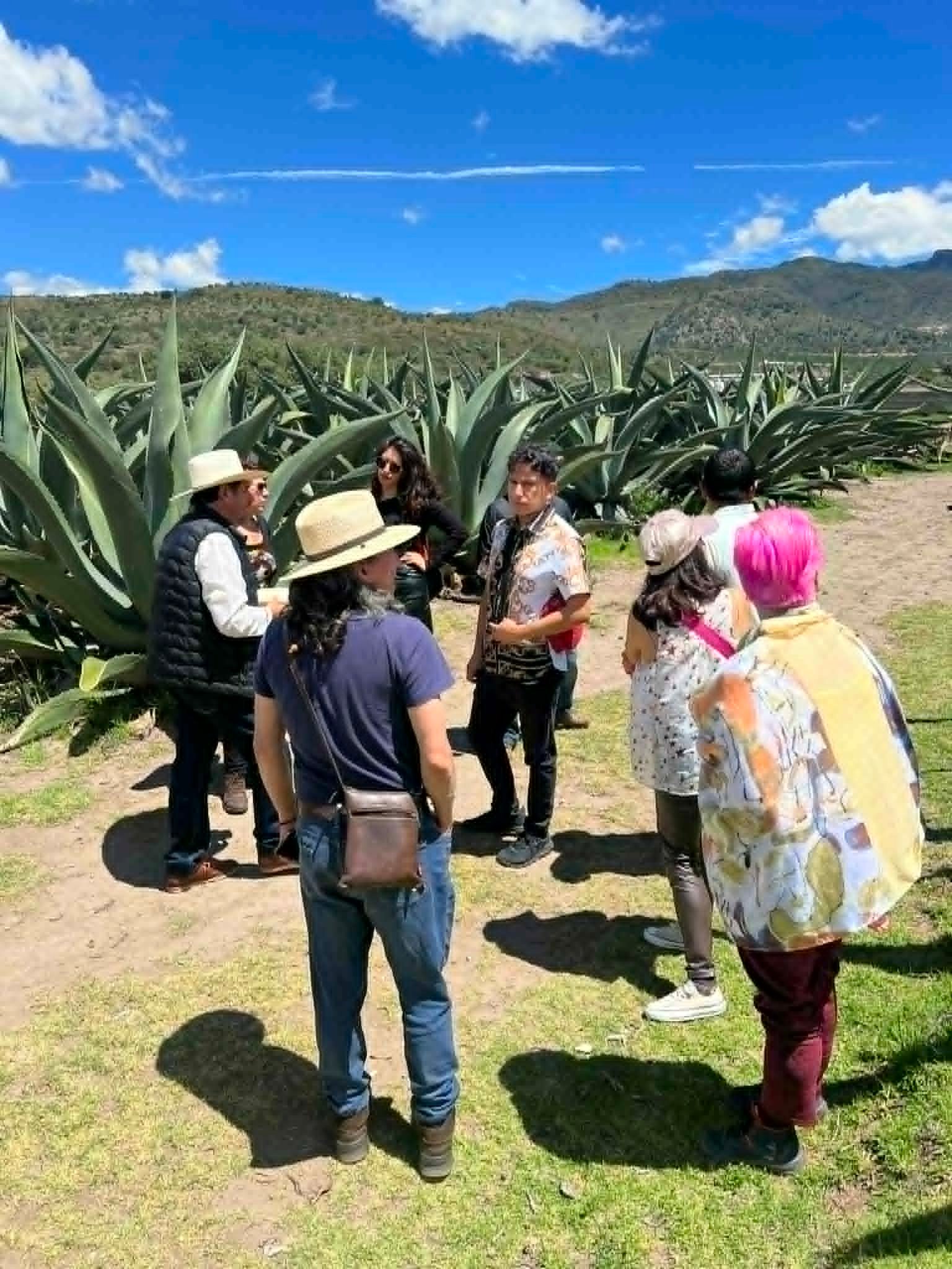 PAQUETE 3 - RUTA DEL PULQUE + SANTUARIO DE LAS LUCIÉRNAGAS ✨🌙 ( 1 DIA ) product image (8)